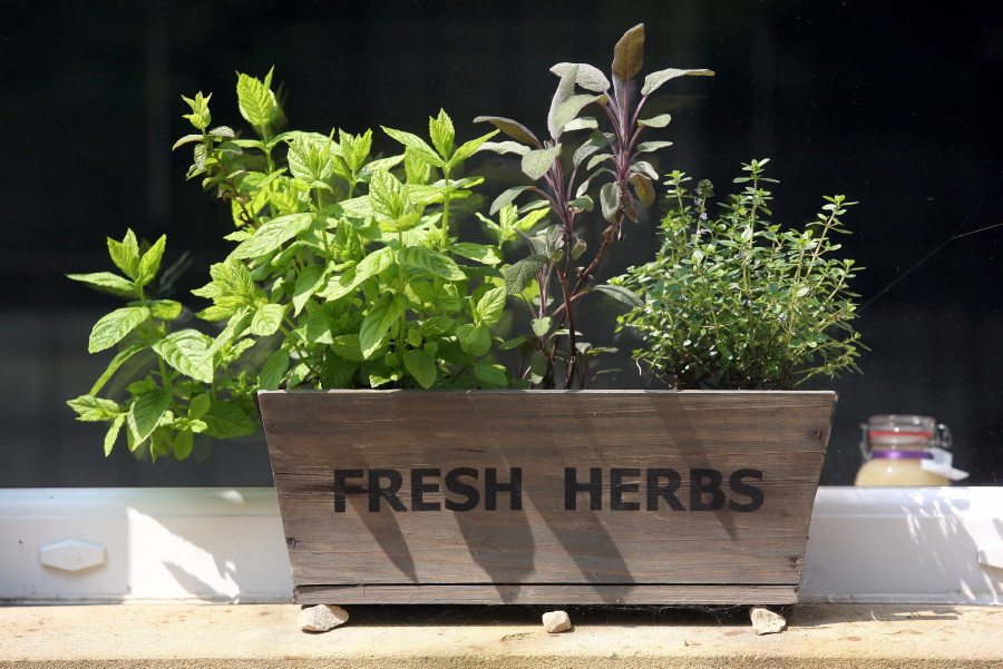 fresh herbs pot