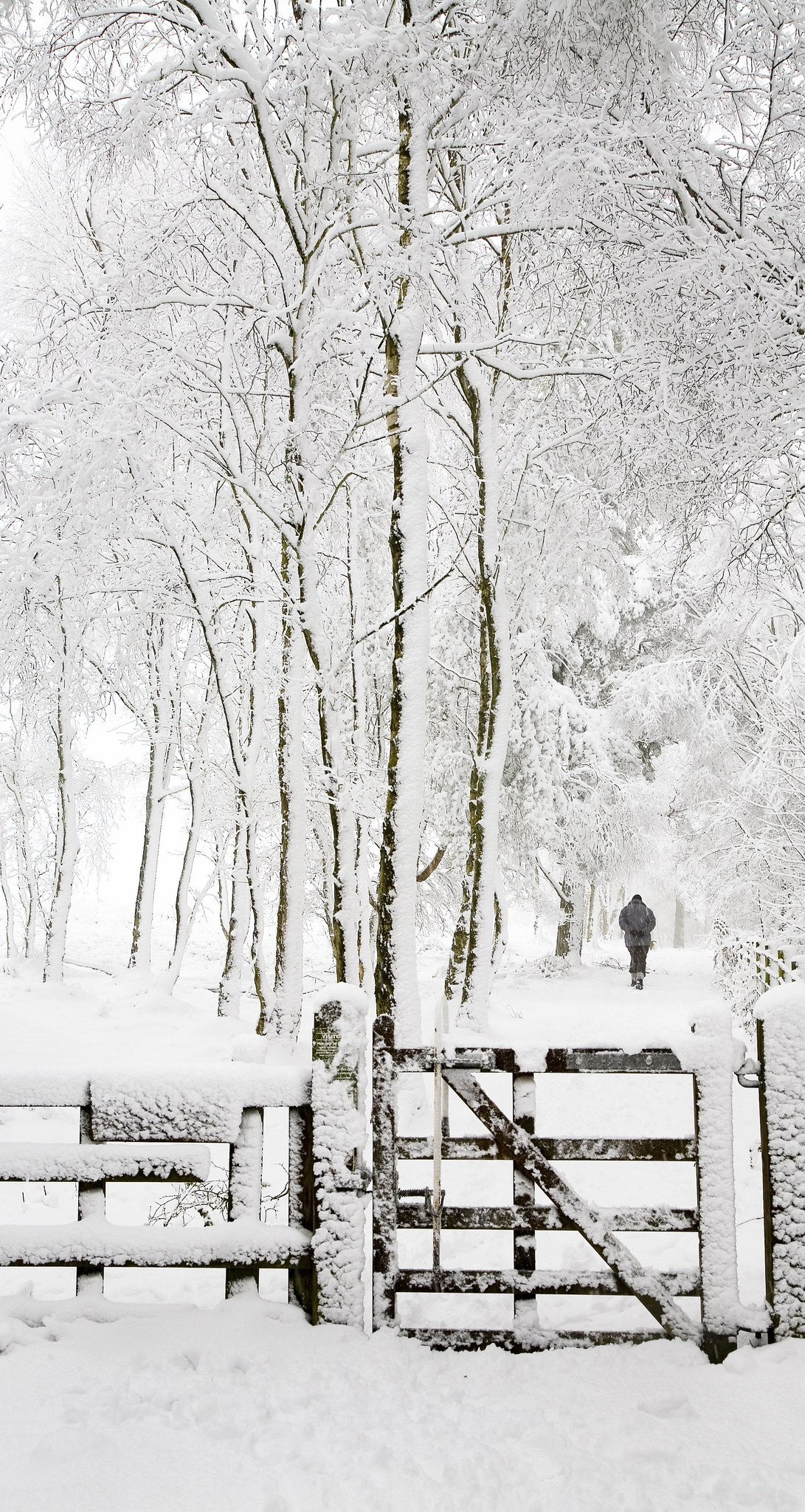 Snowy footpath